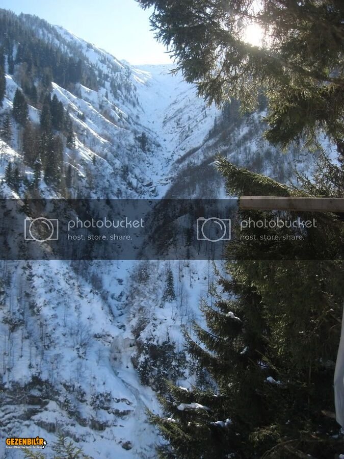IMG_4279.jpg