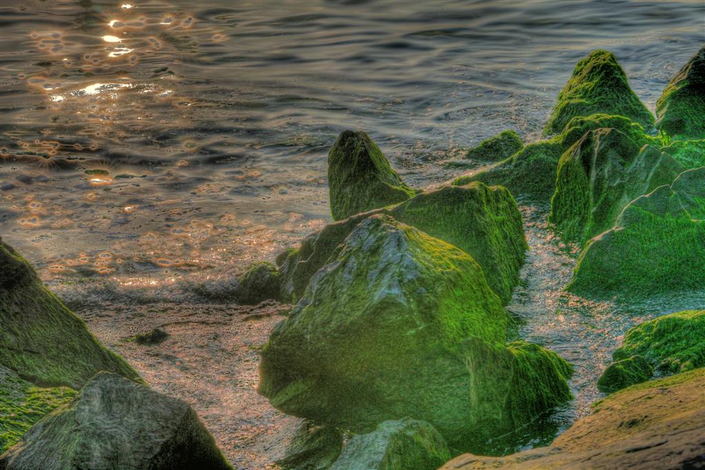 IMG_4323_1_2 (Large).jpg