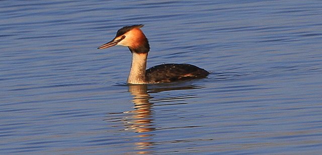 IMG_4347.JPG