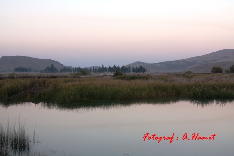 IMG_4524.jpg