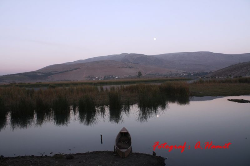 IMG_4534.jpg