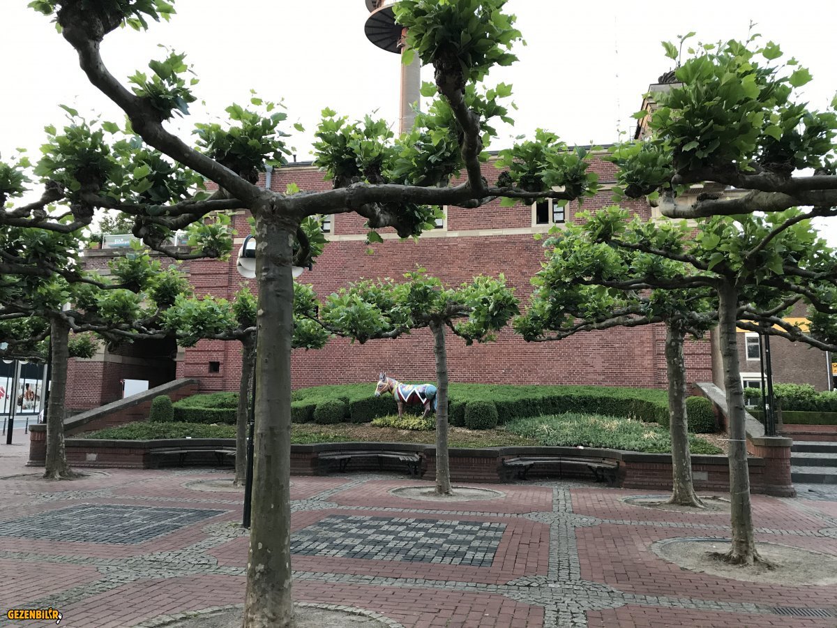 IMG_4565.JPG