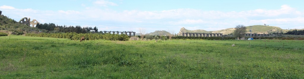 IMG_4752 BirleÃƒÂƒÃ‚Â…ÃƒÂ‚Ã‚ÂŸtirme (1024x266).jpg
