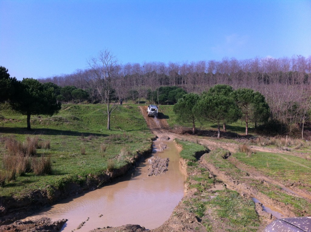 IMG_4796 - Kopya.JPG