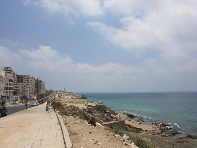 IMG_4971.jpg