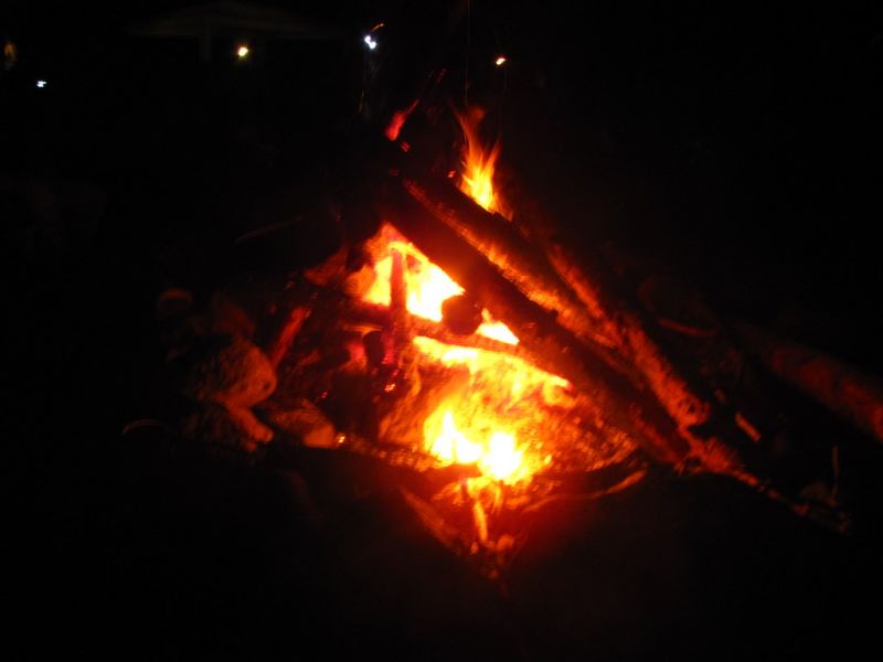 IMG_5008-1.jpg