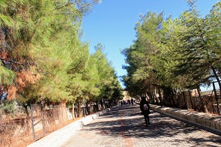 IMG_5068.jpg