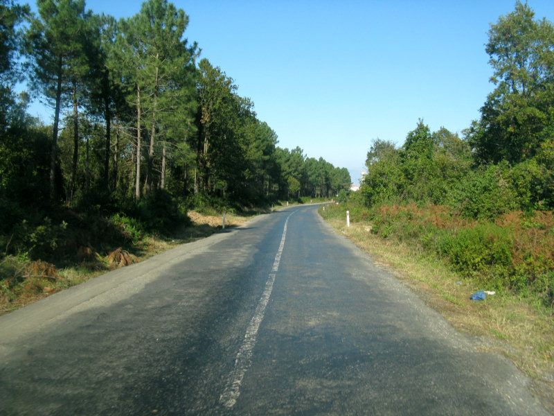 IMG_5100.jpg