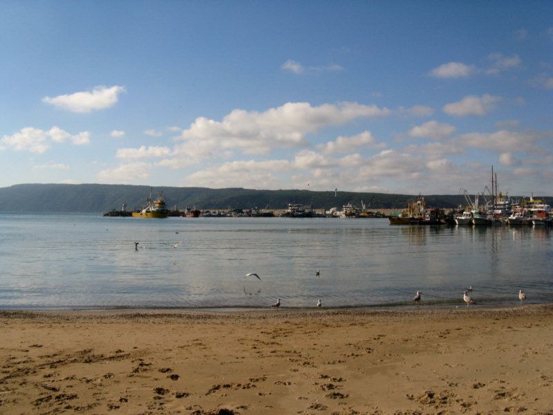 IMG_5162.jpg