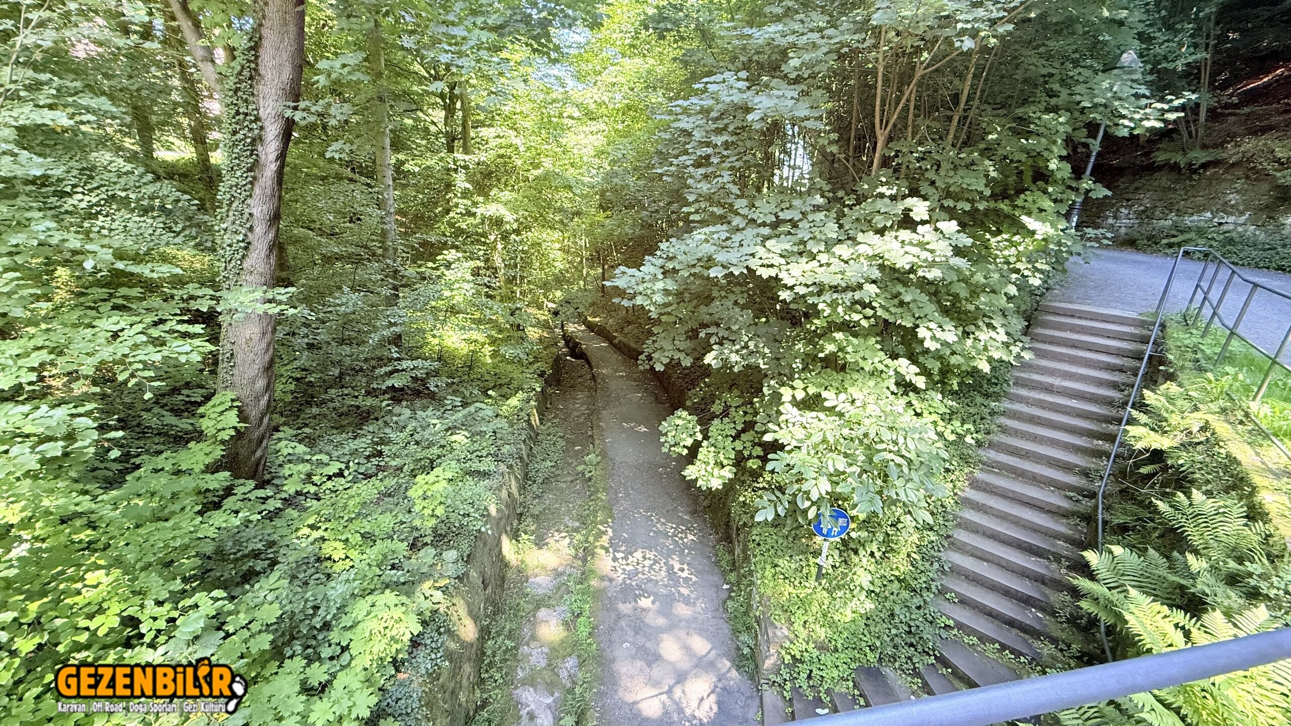 IMG_5168.jpeg