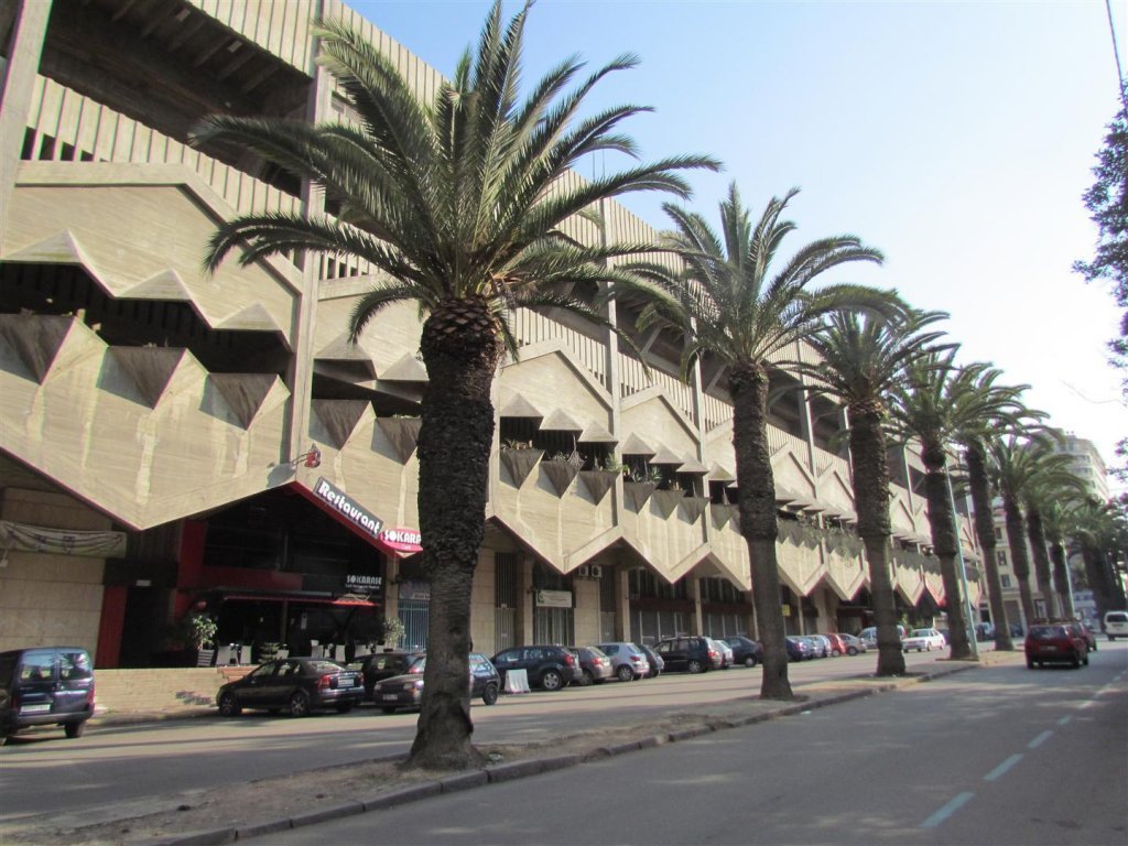 IMG_5183 (Large).JPG