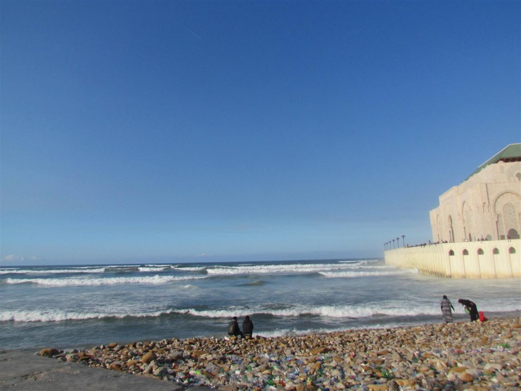 IMG_5198 (Large).JPG