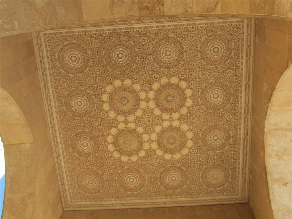 IMG_5209 (Large).JPG