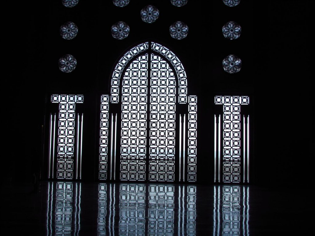 IMG_5232 (Large).JPG