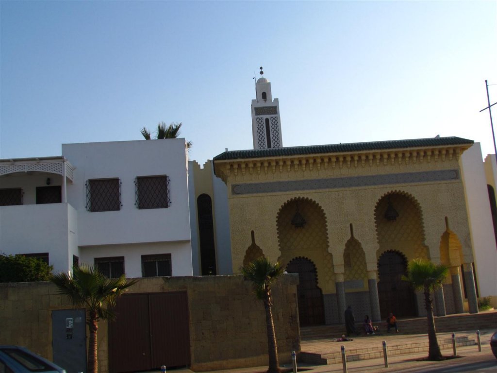 IMG_5248 (Large).JPG