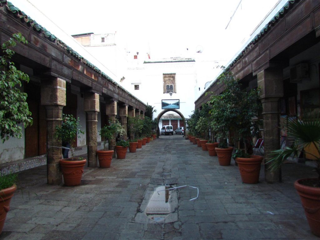 IMG_5260 (Large).JPG