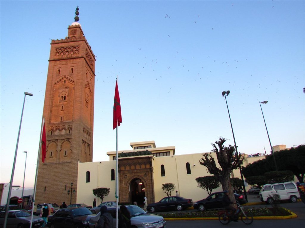 IMG_5272 (Large).JPG