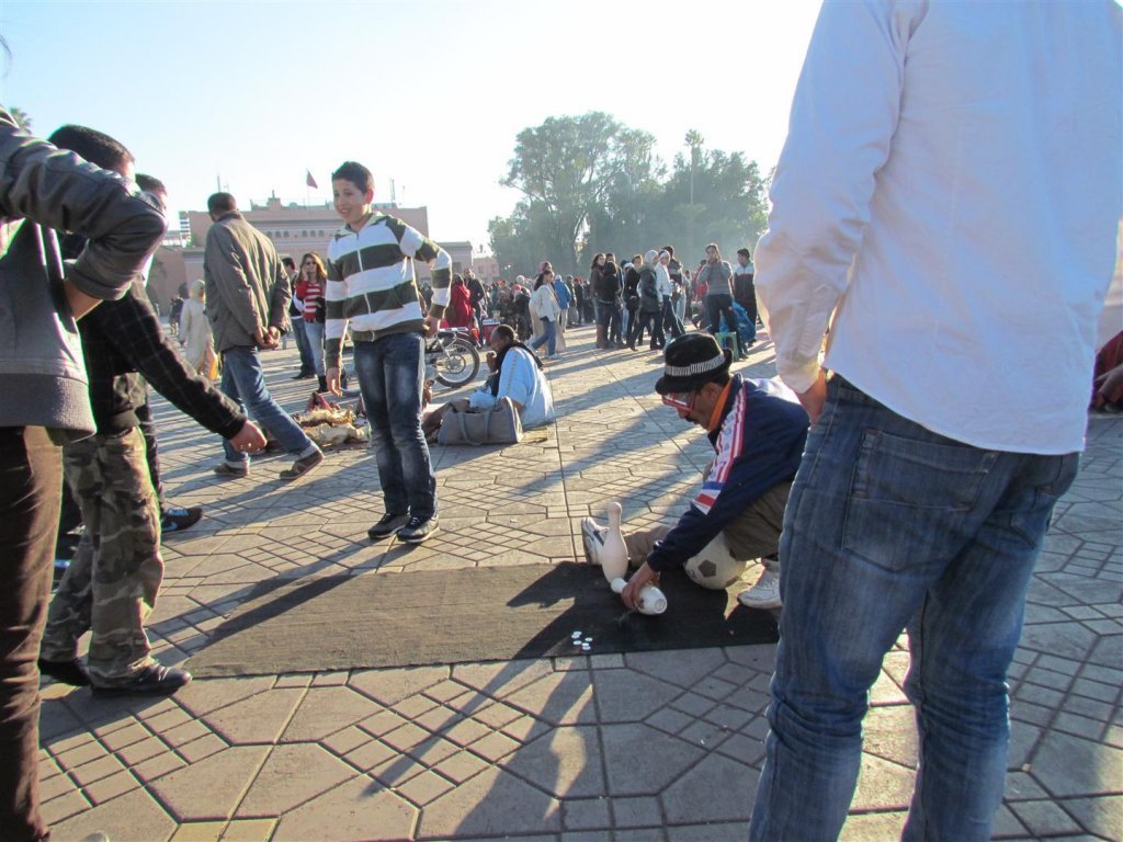 IMG_5330 (Large).JPG