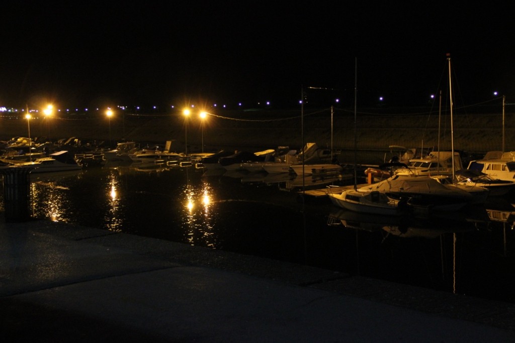 IMG_5460.JPG