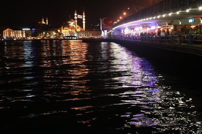 IMG_5513_resize.jpg