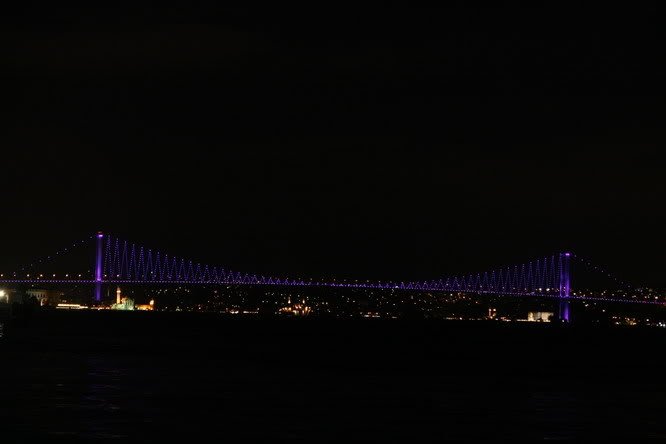 IMG_5565_resize.jpg