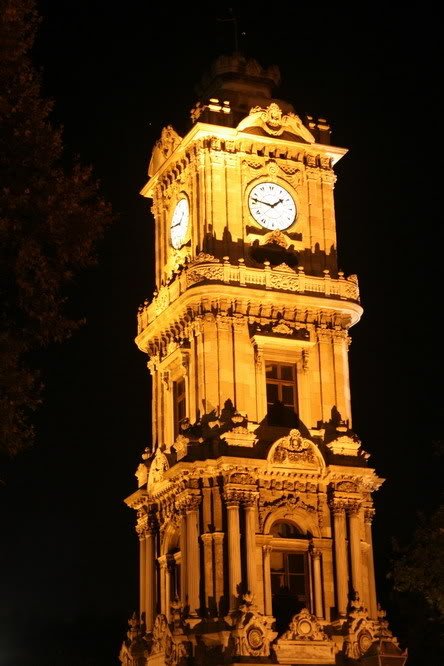 IMG_5596a_resize.jpg