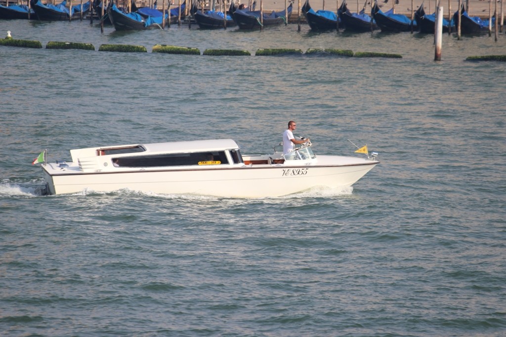IMG_5710.JPG