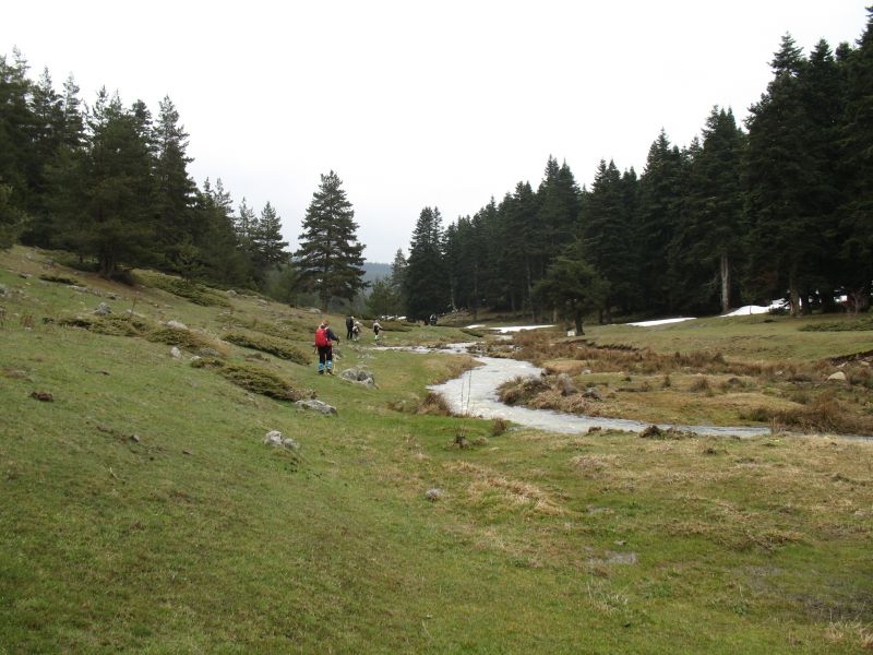 IMG_5852.jpg