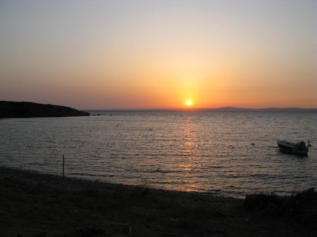 IMG_5906.jpg