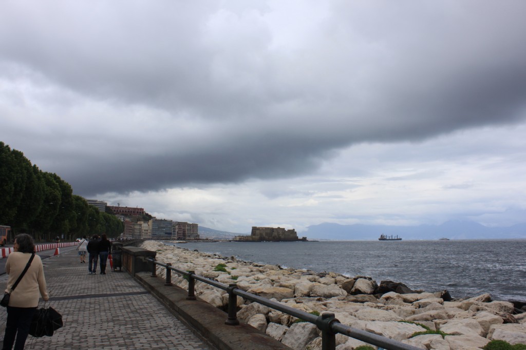 IMG_5979.JPG