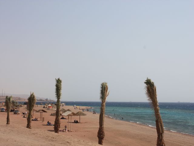 IMG_5999.jpg
