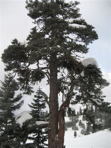 IMG_6080.JPG