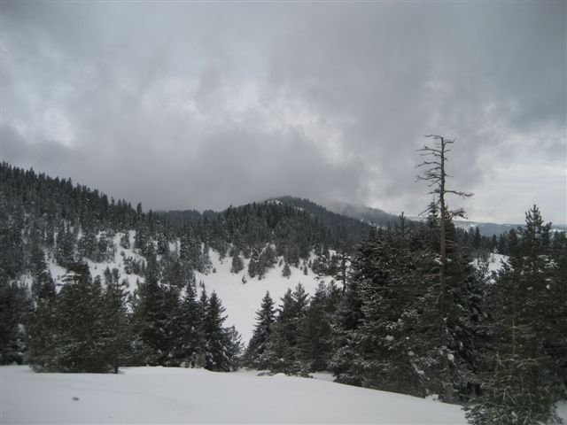 IMG_6091.JPG
