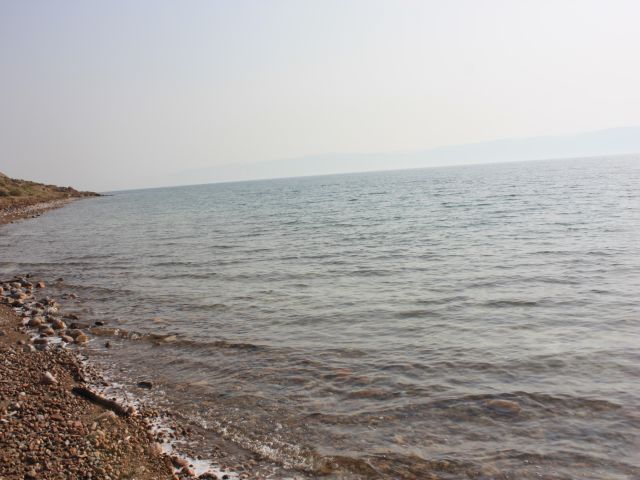 IMG_6235.jpg