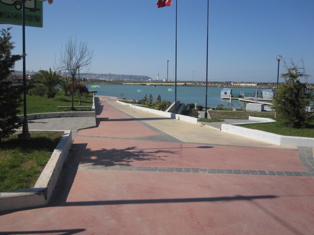 IMG_6508.jpg