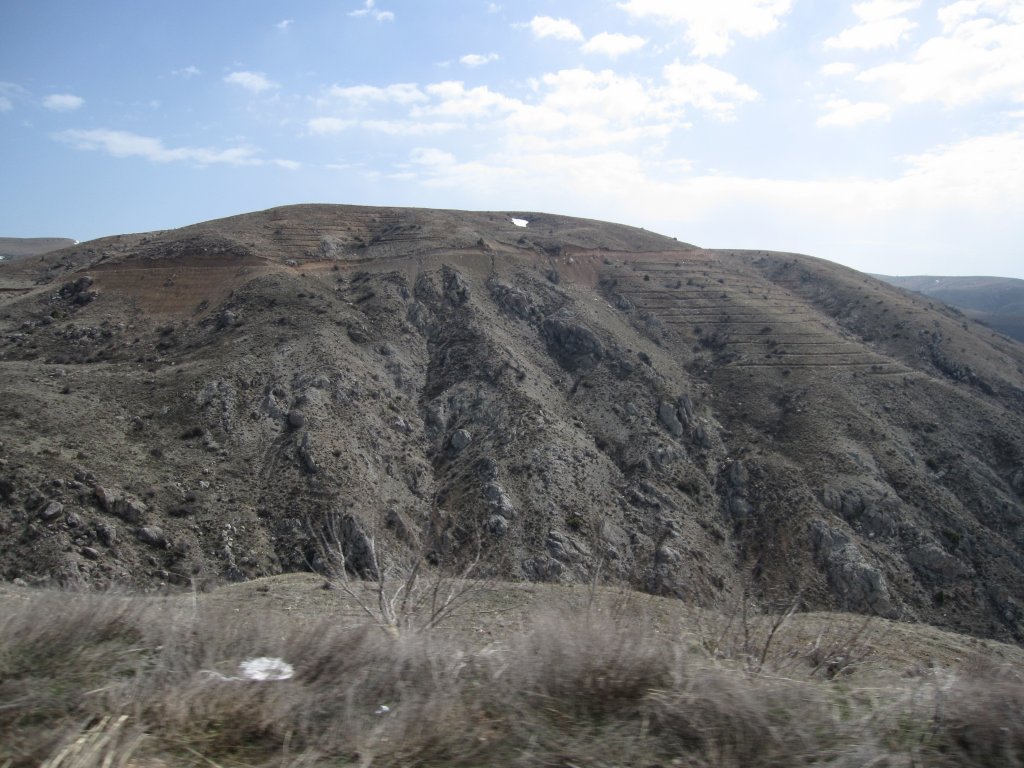 IMG_6512.JPG