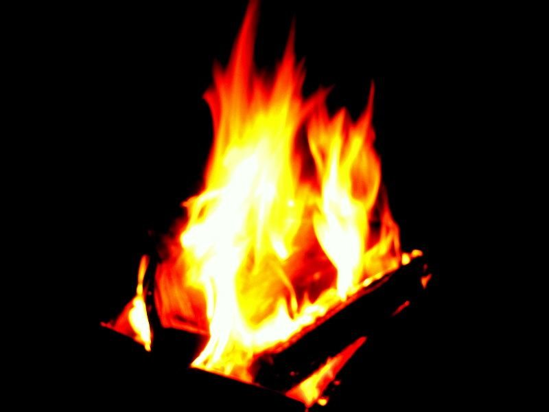 IMG_6698.jpg
