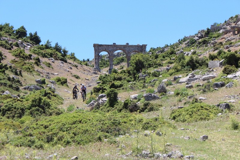 IMG_6731 (800x533).jpg