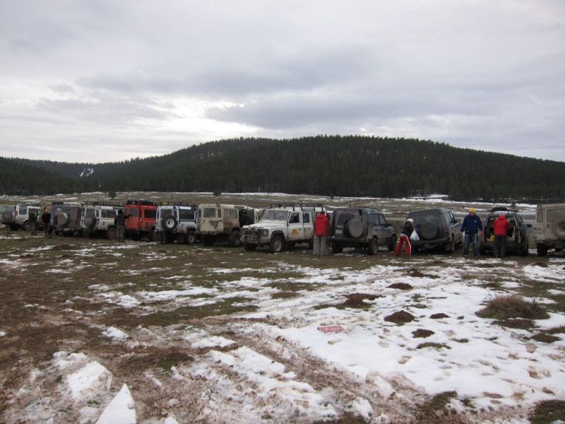 img_6737_std.jpg