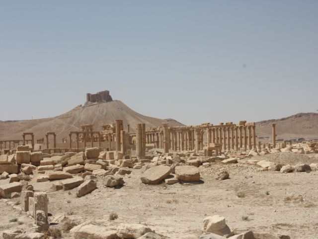 IMG_6745.jpg