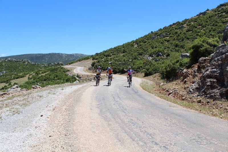 IMG_6751 (800x533).jpg