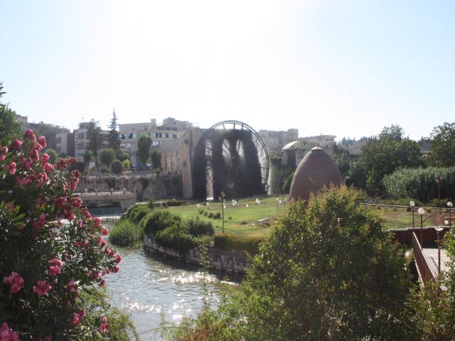 IMG_6787.jpg