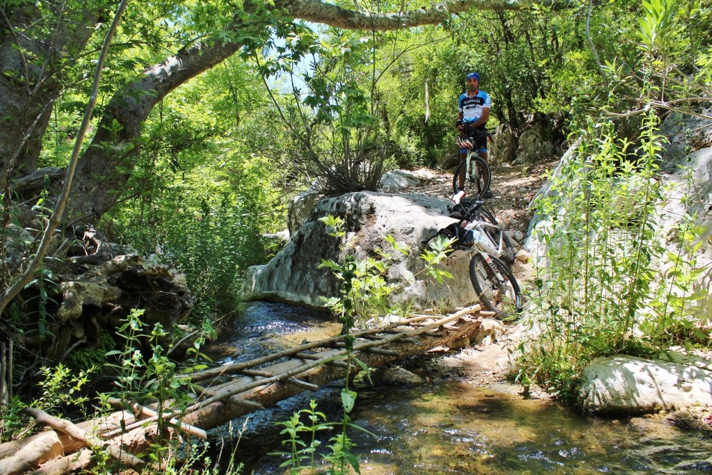 IMG_6978 (1024x683).jpg