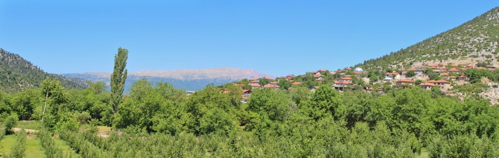 IMG_7176 BirleÃƒÂƒÃ‚Â…ÃƒÂ‚Ã‚ÂŸtirme (1024x324).jpg