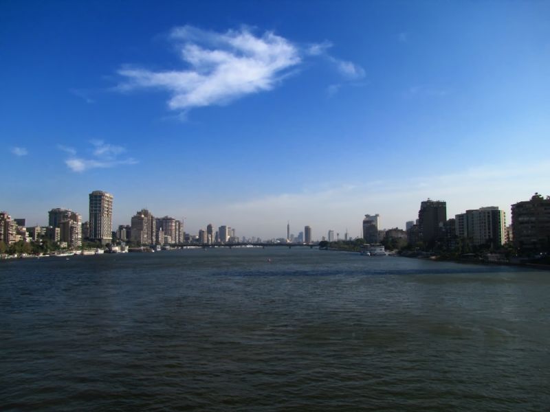 IMG_7225p.jpg
