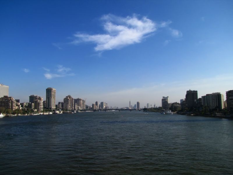 IMG_7231p.jpg