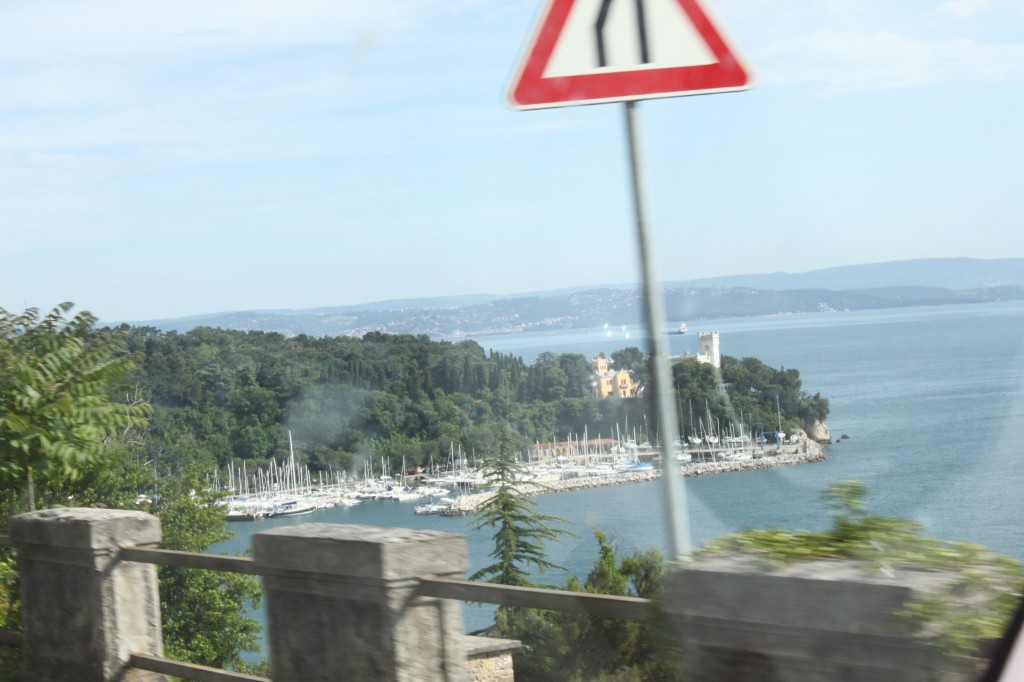 IMG_7262.JPG