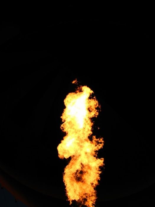 IMG_7421p.jpg
