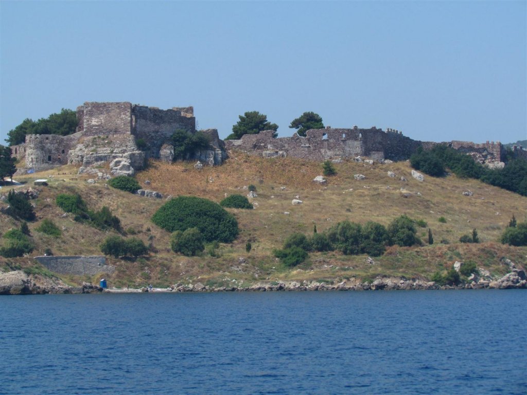 IMG_7675 (Large).JPG