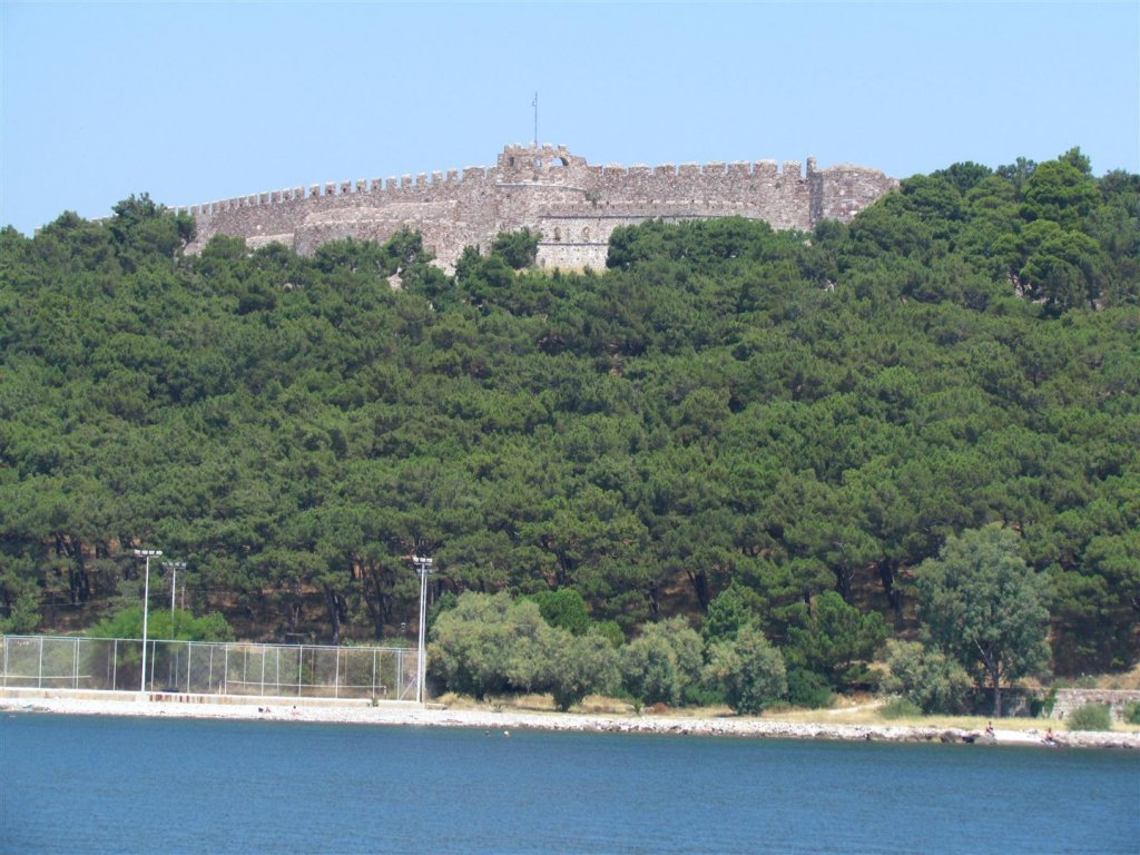 IMG_7678 (Large).jpg